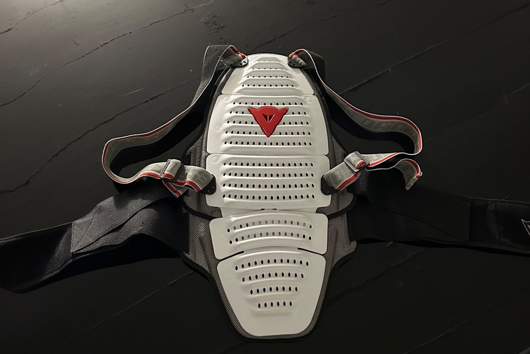 Dainese Protezioni & Imbottiture: Paraschiena Dainese – Usato da Langnau Am Albis venduto da raf_hrh2
