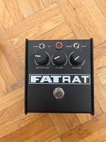 Proco Fat RAT
