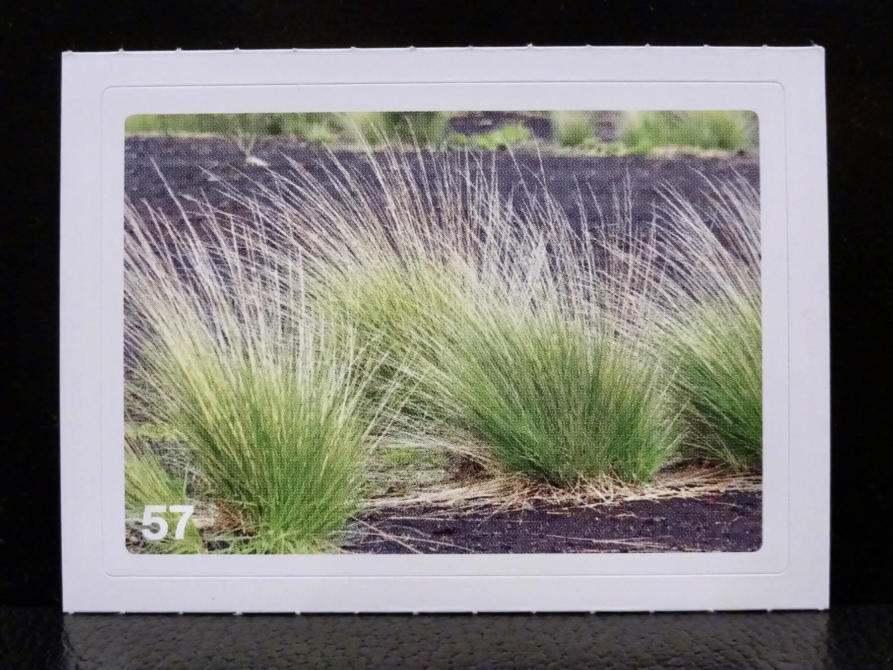 Migros Carte collezionabili: MIGROS MANIA Nature Detectives Nr. 57 – Usato da Kerzers venduto da zimmergruen