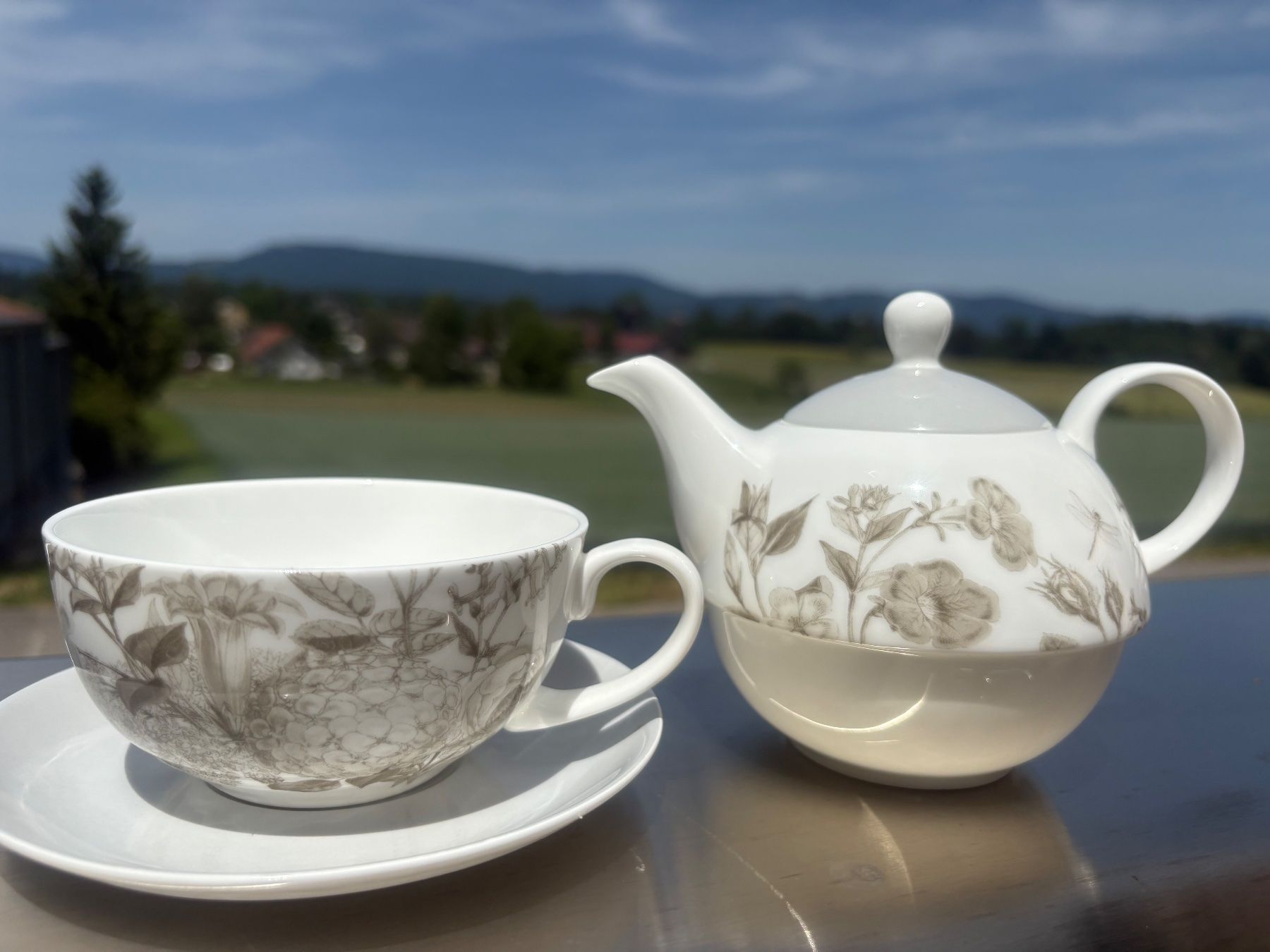 Teiere: Teekanne mit Tasse – Usato da Aarwangen venduto da kah_79t5 1