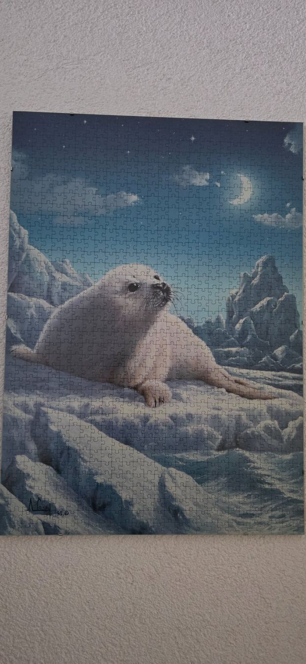 Ravensburger Puzzle: Puzzle – Nuovo (secondo la descrizione) da Pieterlen venduto da msf_7sdw