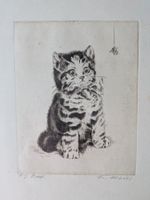 Original Radierung signiert, Katze mit Spinne