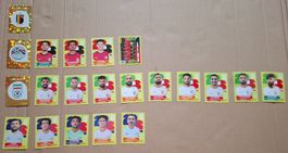 PANINI WM 2026 GRUPPE G: BEL EGY IRN NZY, 21 sticker