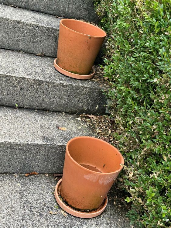 2x Blumentöpfe Terrakotta mit Unterteller Kaufen auf Ricardo