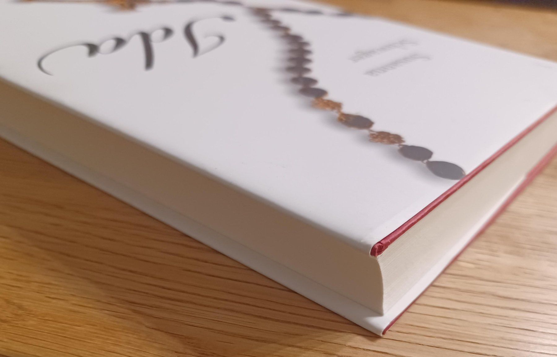 Libri: Ida - Susanna Schwager – Usato da Urdorf venduto da Muluk 2