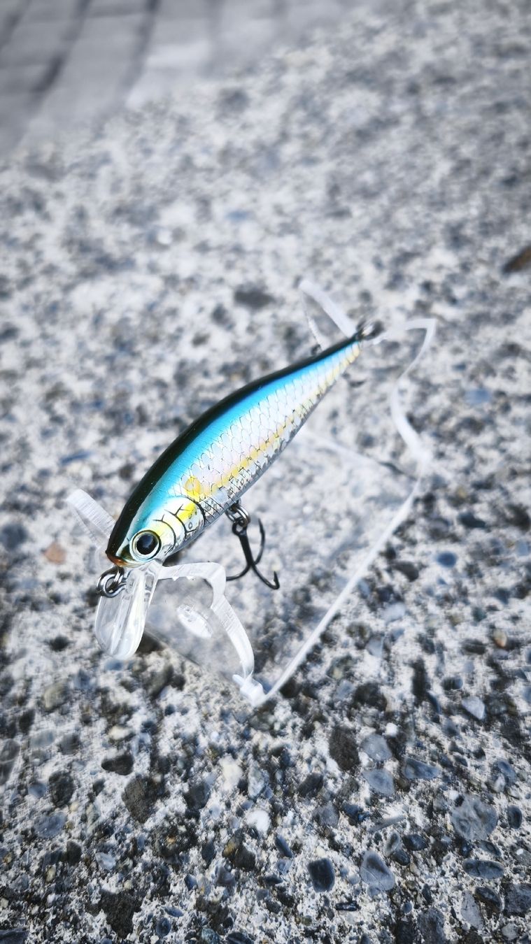 Appâts: Lucky Craft Pointer SP 65 – Neuf (Voir description) à Sarnen par sebalant 1