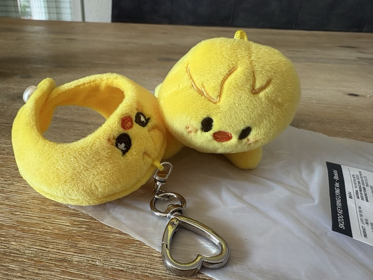 Giocattoli: Skzoo keyring lying ver. BbokAri – Nuovo (secondo la descrizione) da Therwil venduto da nin_n9zp 2