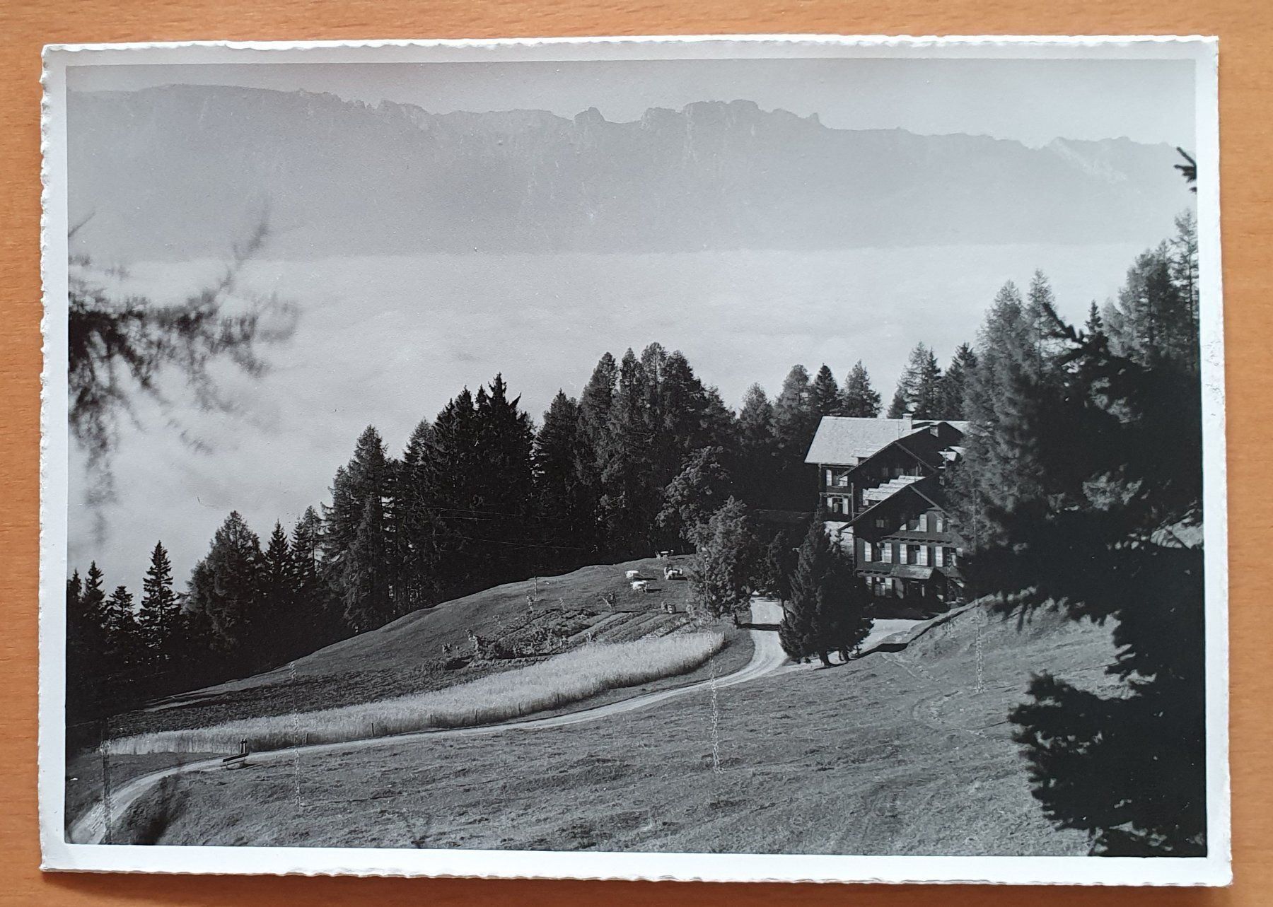 Cartoline postali: Alphotel Gaflei – Usato da Kreuzlingen venduto da Rschweiz1
