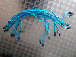 10 x SATA Kabel ca. 50cm