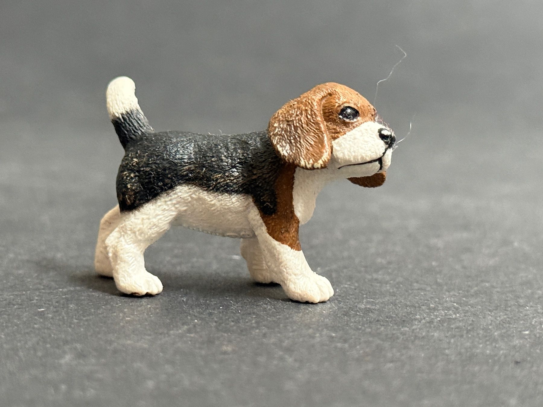 Schleich Statuette: Schleich Hund Beagle aus Baumhaus Set – Usato da Ennetbaden venduto da mapa05 1