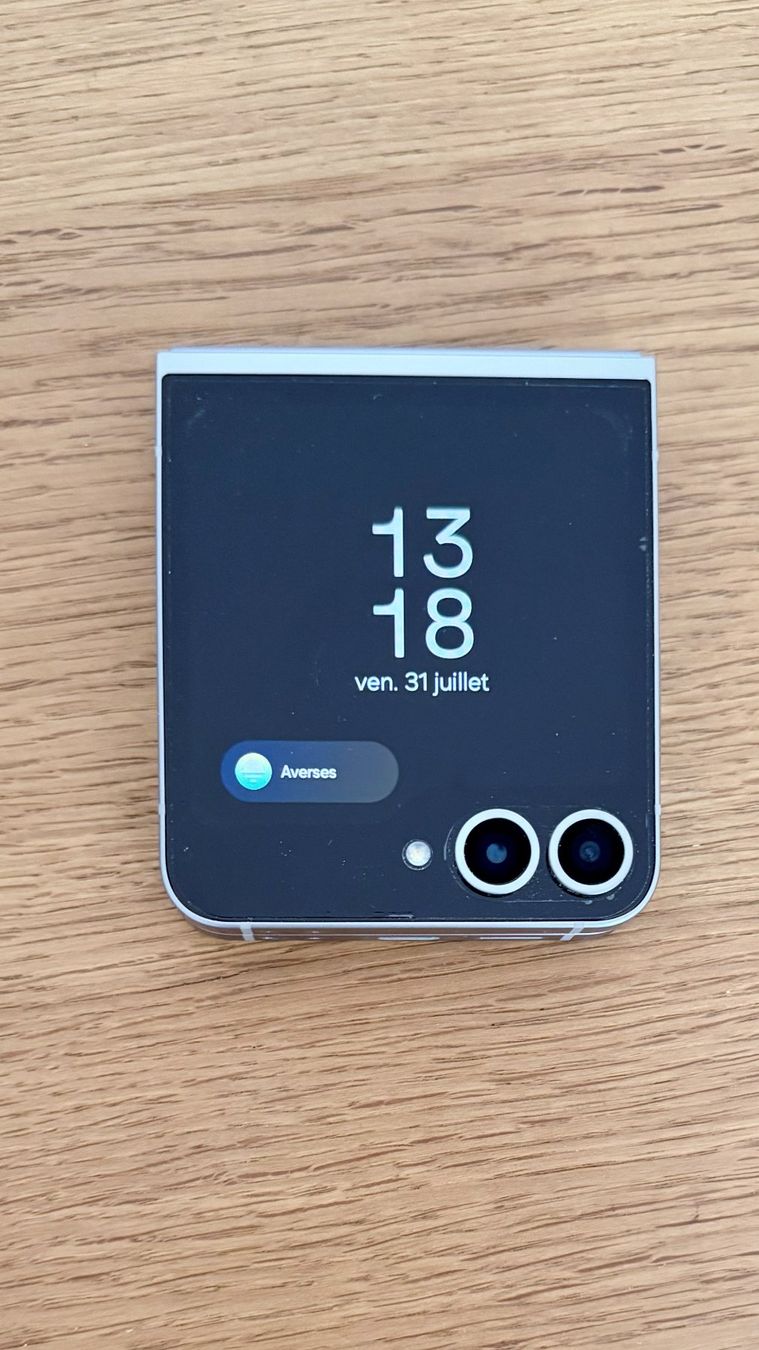Samsung Portables: Samsung Galaxy Z Flip 6 – D'occasion à La Chaux-de-Fonds par ara_9ctw 2
