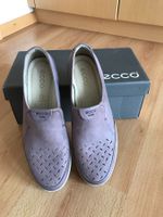 Ecco 42