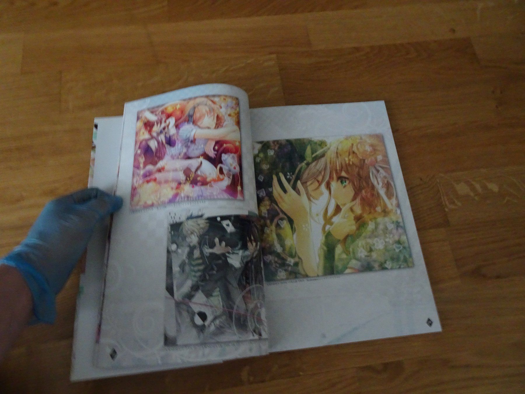 Libri: Amnesia Official Visual Fanbook Artbook – Usato da Bern venduto da Maronn 3