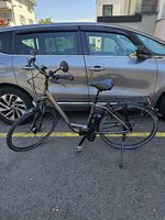 E-Bike RALEIGH Dover,nur 1200 km.