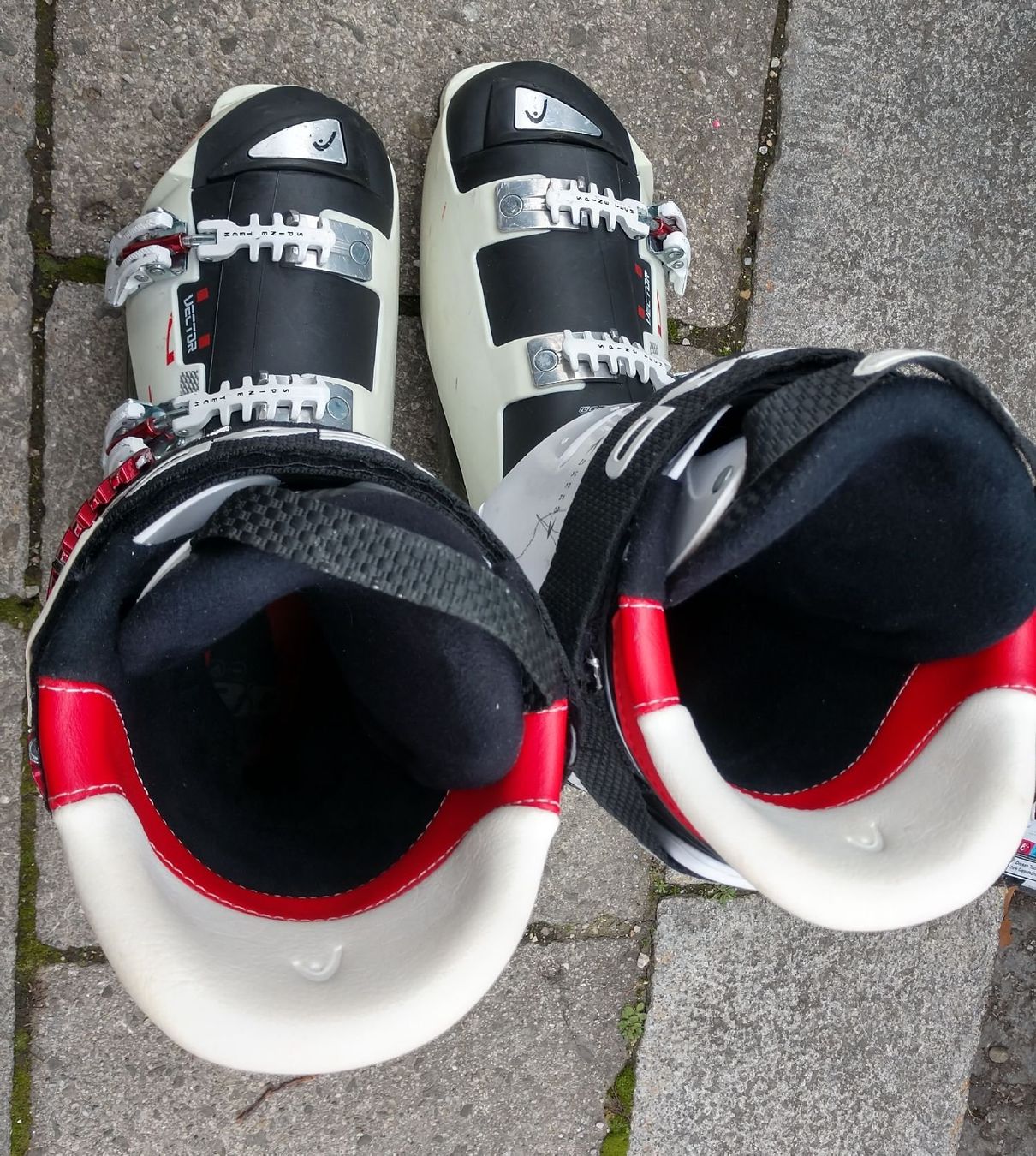 Head Scarpe da uomo: Head Vector Skischuhe Gr 29 oder 45 Härte 100 – Usato da Zürich venduto da ElenaTT