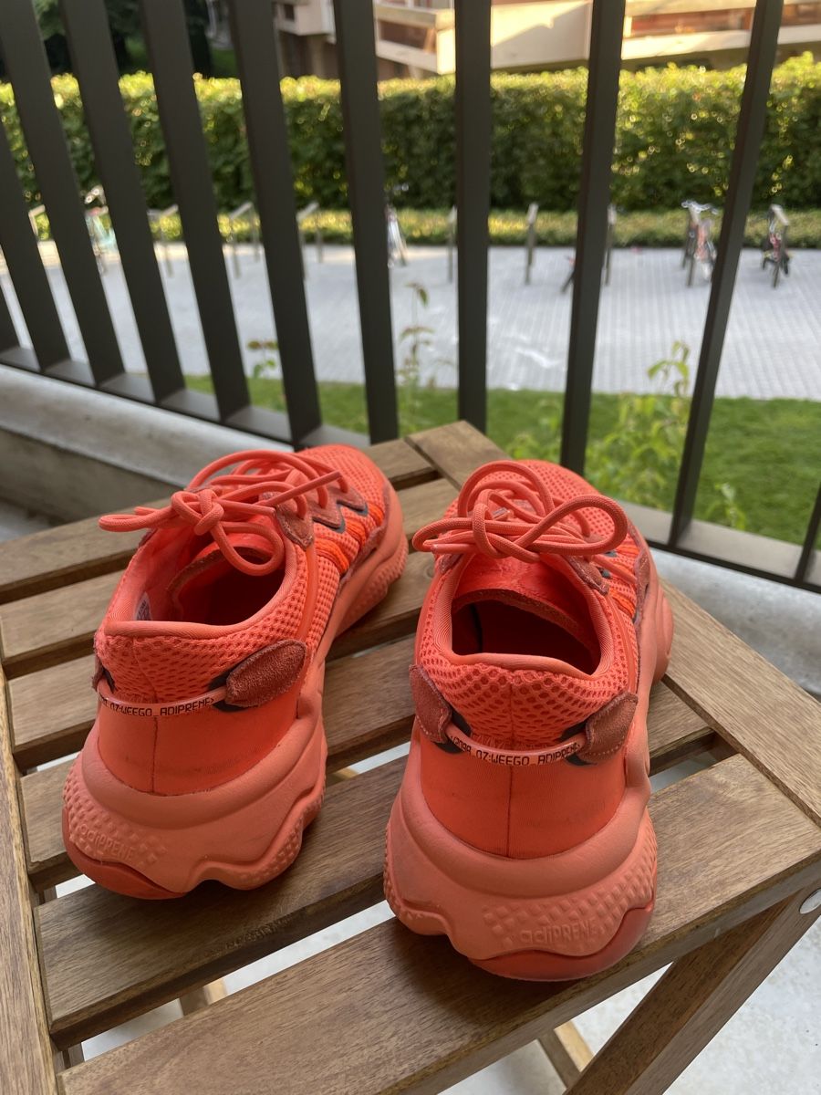 Adidas Chaussures femmes: Adidas Ozweego – Neuf (Voir description) à Genève par kevinjaquemet 2
