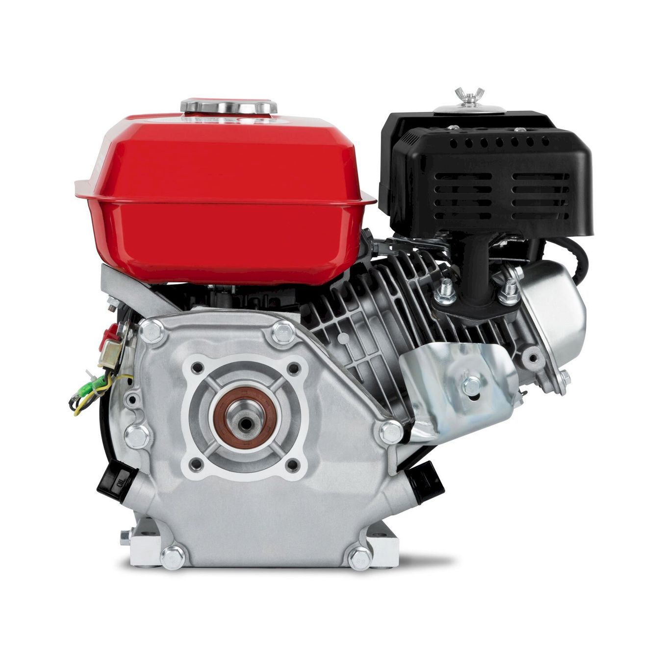 Altre attrezzature per officine: EBERTH 6.5PS Benzinmotor 19konisch Welle – Nuovo e nell'imballaggio originale da Bottighofen venduto da zaap 1