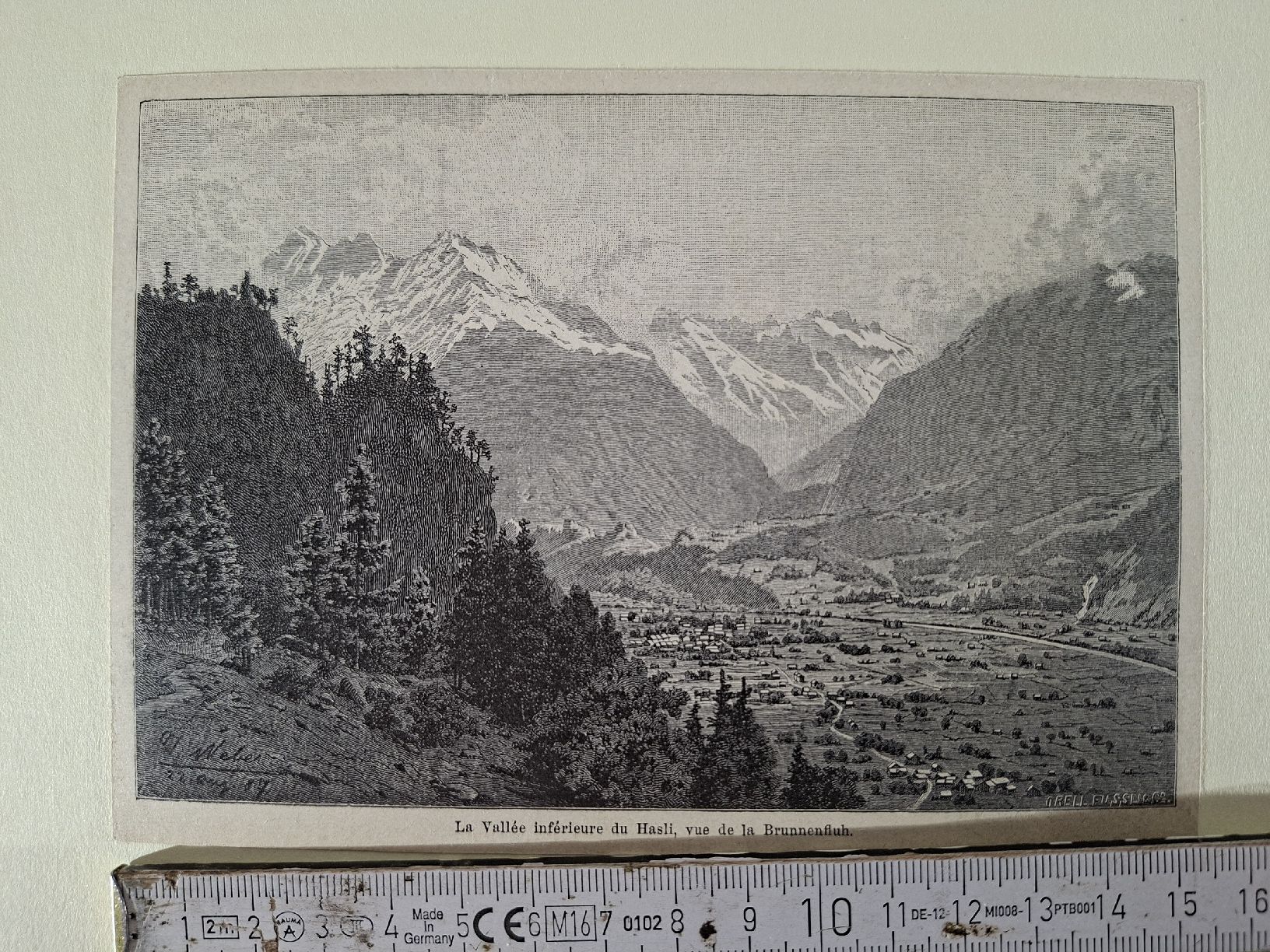 Incisioni: Lot 66 , 10 Stiche  – Usato da Grindelwald venduto da carro5