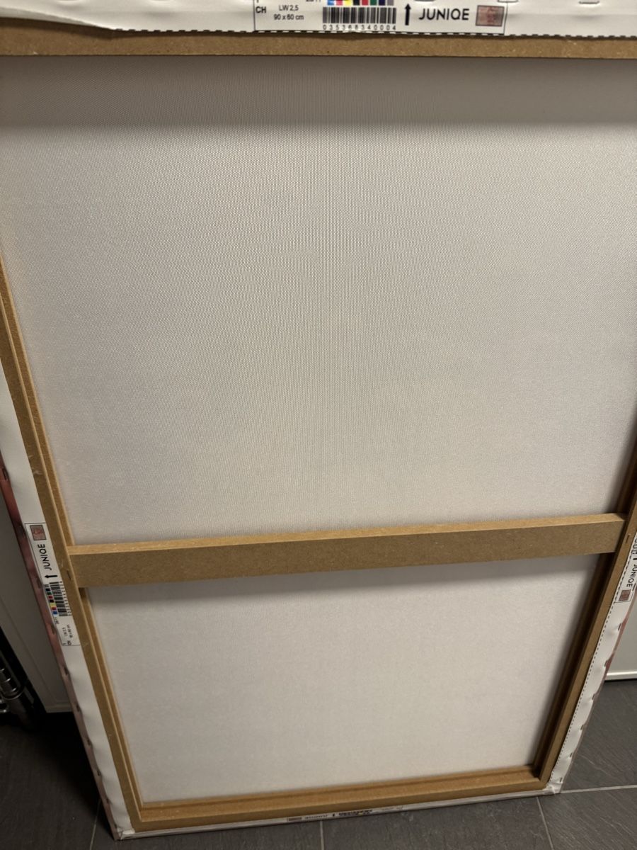 Foto & Immagini: Leinwandbild 60x90cm – Usato da Buchs ZH venduto da claudiac76 1