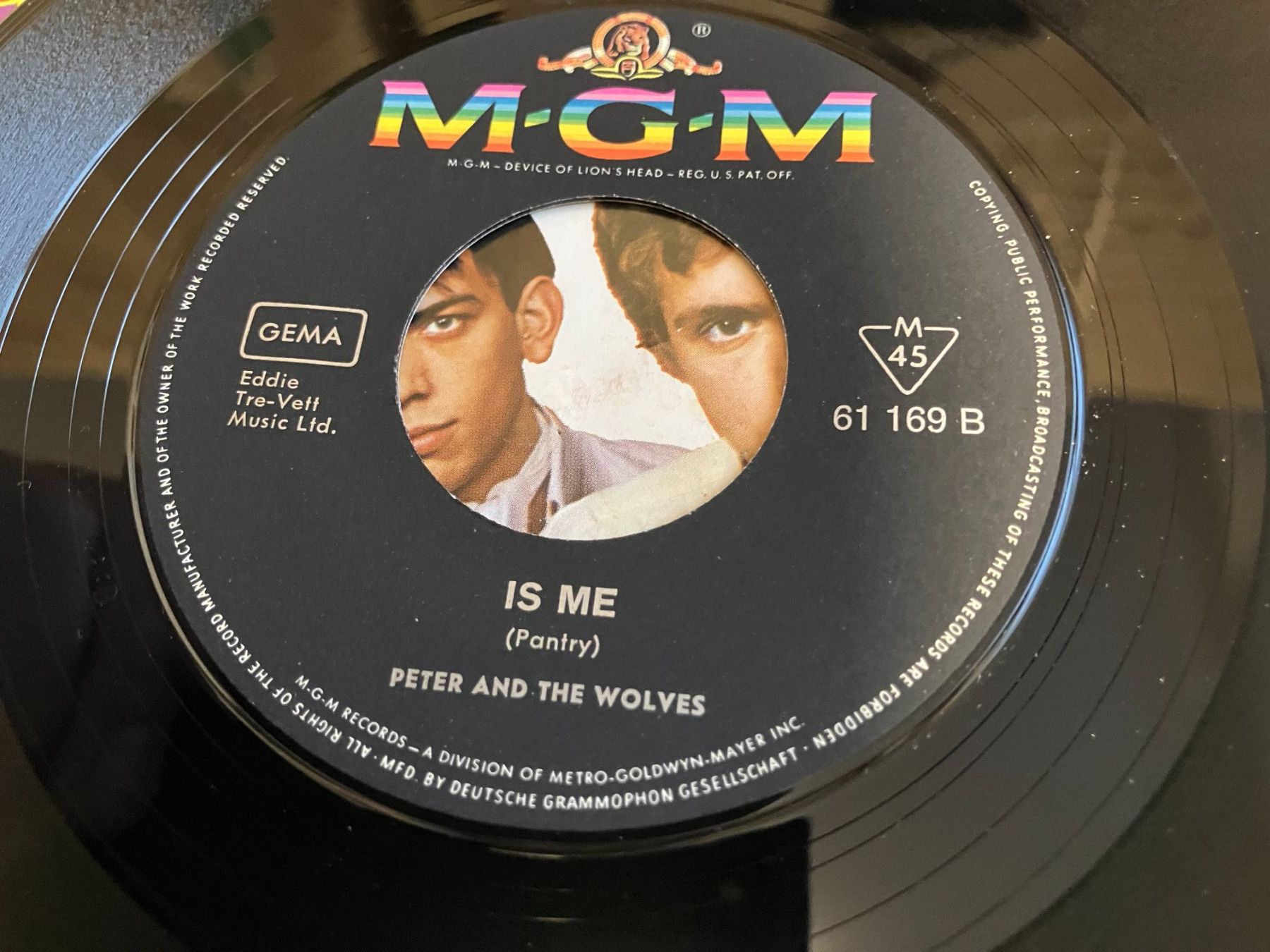 Dischi in vinile: Peter And The Wolves – Usato da Aarwangen venduto da Jukebox3 6