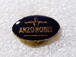 Ansteckpin 44: Akzonobel