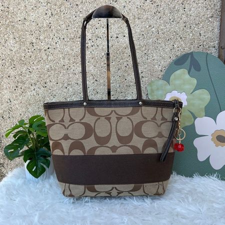Coach Handtasche/Tote Bag, Top Zustand, Braun, Herbst!