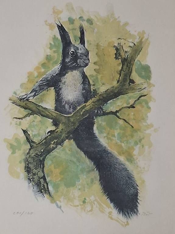 Poster & Bilder: Eichhörnchen von Willy Bär – Gebraucht aus Wabern von amo_pp26 1
