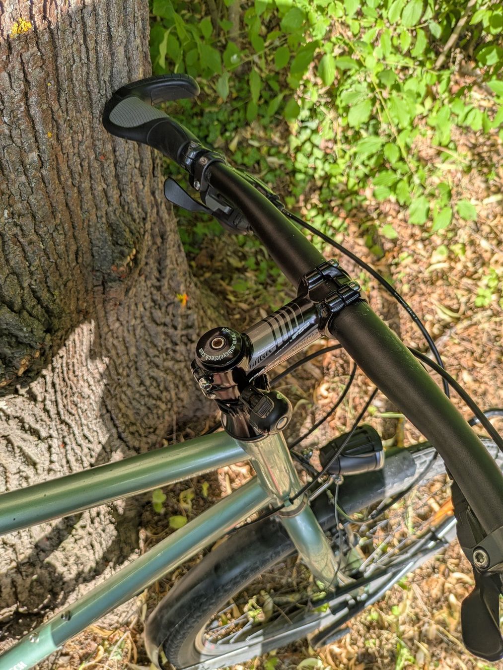MTB Cycletech Velos: MTB Cyletech Papalagi L – Gebraucht aus Bern von Punjabi 6