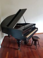 Piano Petrof