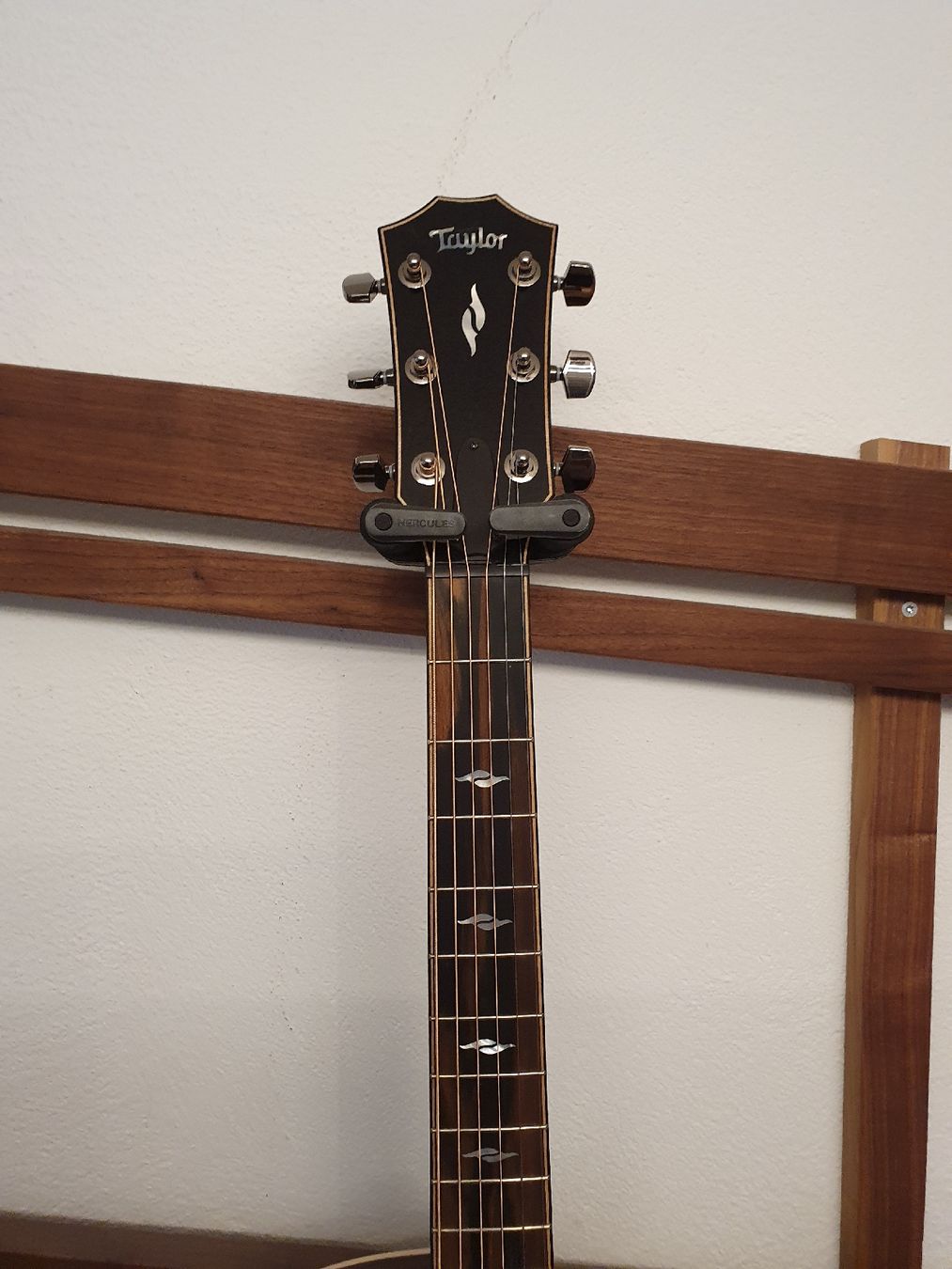 Taylor Instruments de musique: Taylor 814ce Next Generation – D'occasion à Männedorf par B-Unit 1