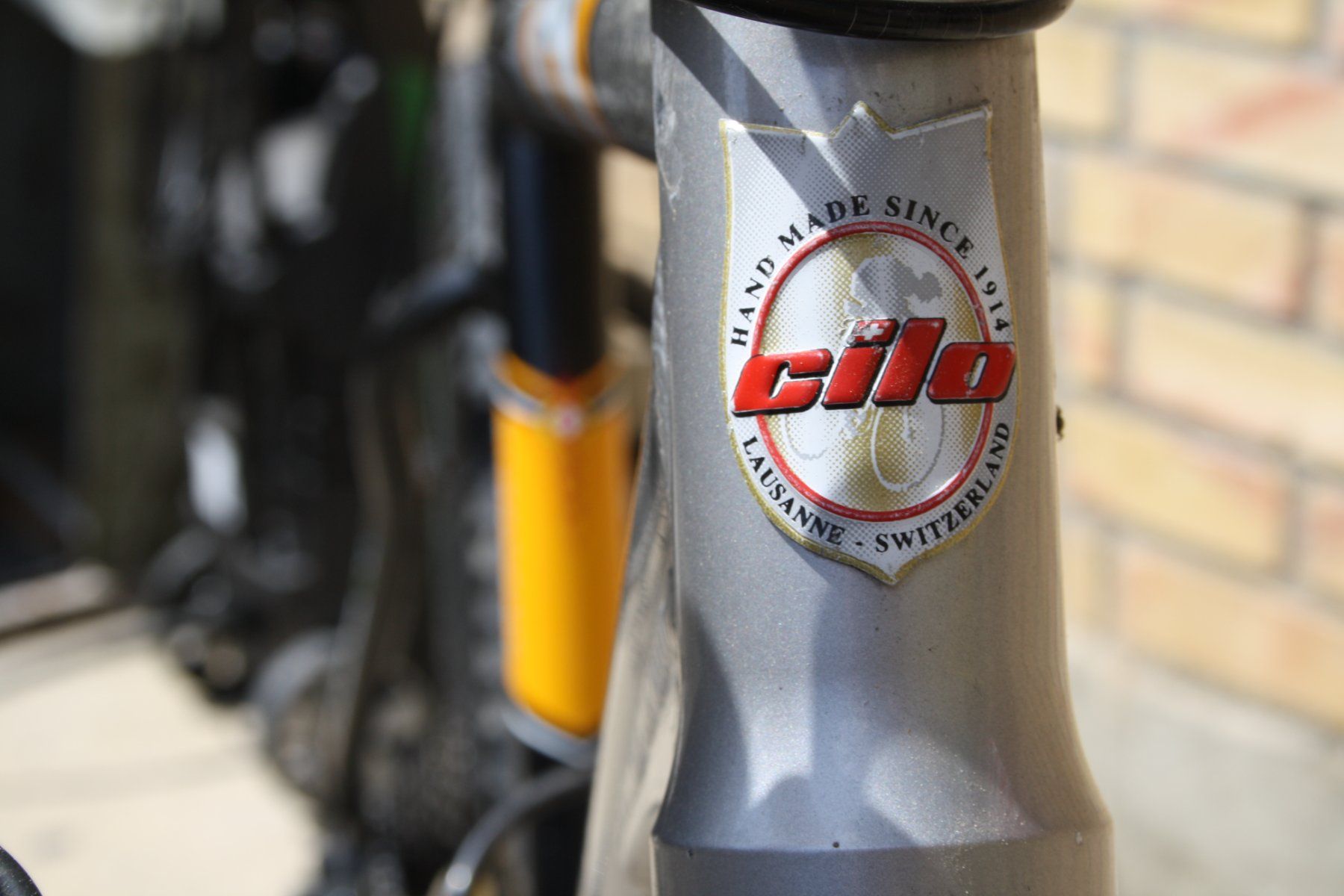 Cilo Biciclette: CILO  MOUNTAINBIKE VELO – Usato da Wauwil venduto da Pneuedy 5