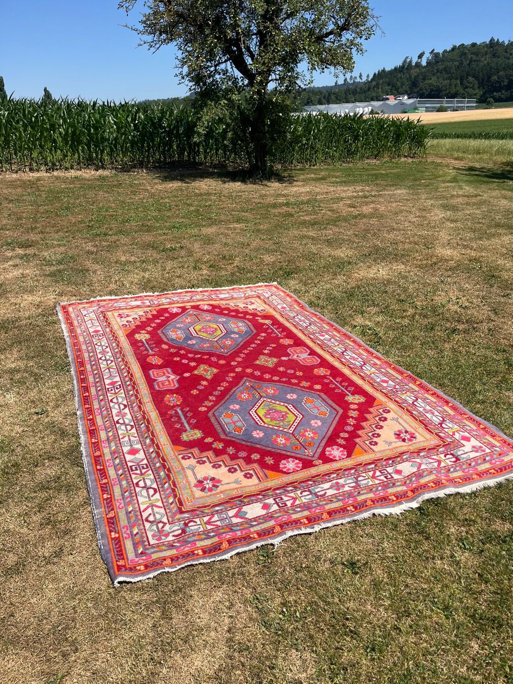 Tapis: Orient Teppich Handgeknüpft – D'occasion à Allmendingen b. BE par juair 7