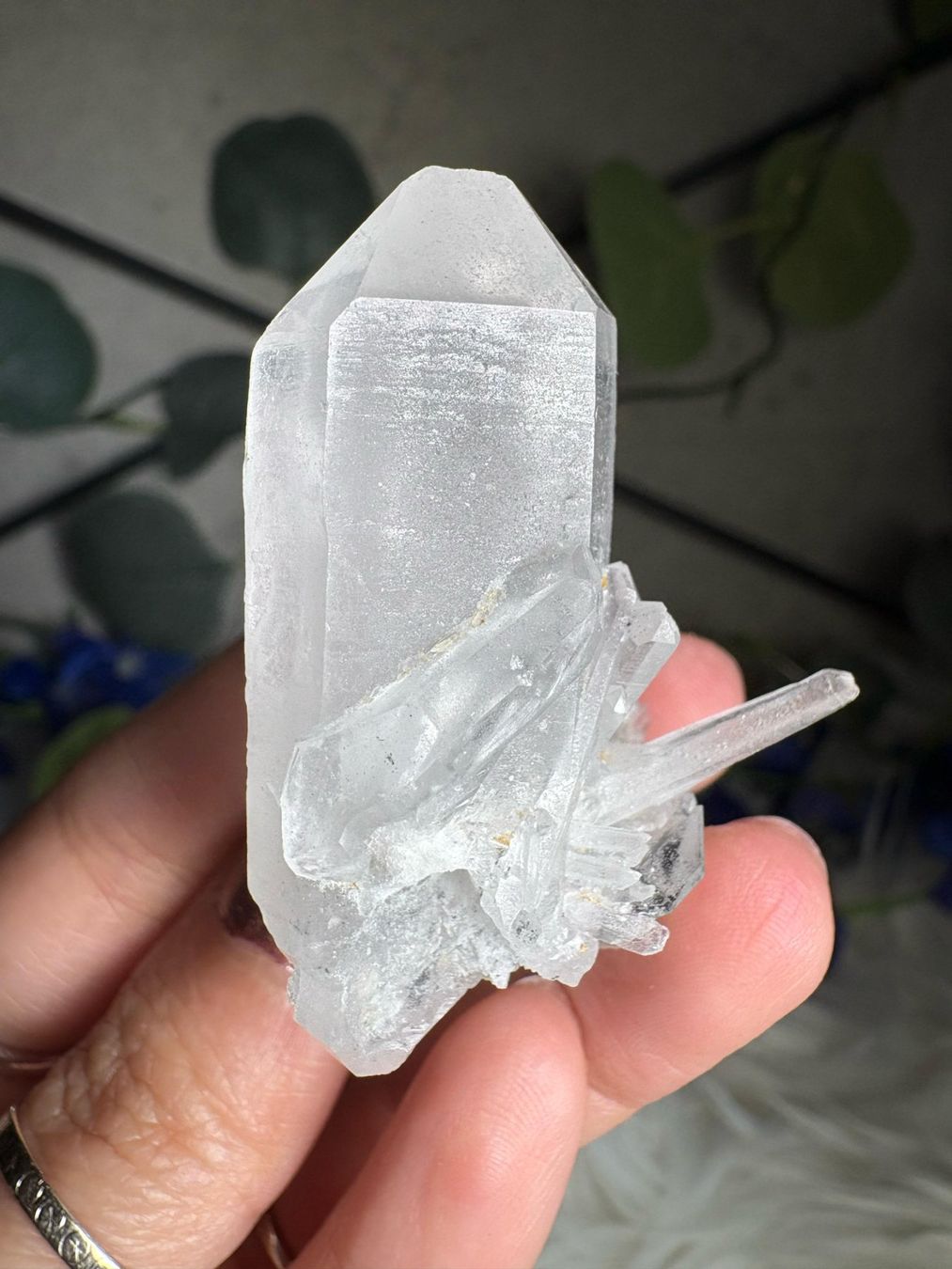 Minerali & Pietre curative: Kolumbianischer Lemurian-Quarz-Cluster – Nuovo (secondo la descrizione) da Neuheim venduto da m.hald 6