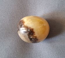Rundlicher Septarie ( Drachenstein)