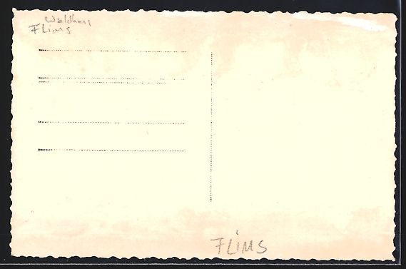 Cartoline postali: AK Flims, Park-Hotel mit Garten – Usato da Berlin venduto da bartko-reher 1