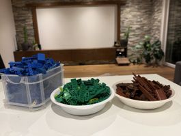LEGO Konvolut – Blau, Grün & Braun / City / Bausteine