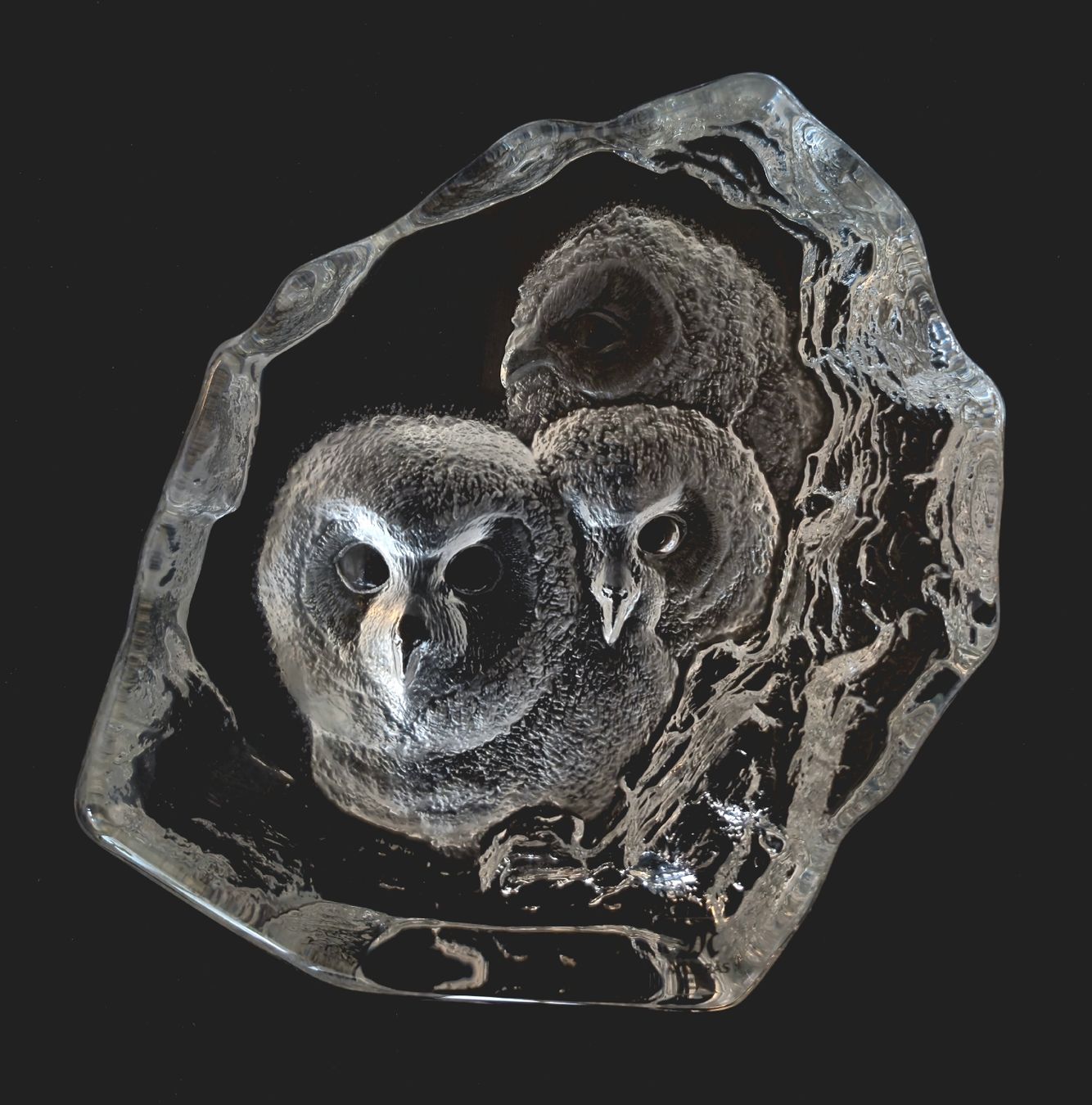 Sculture & Statue: Owlets - Crystal Sculpture | 33537 – Nuovo (secondo la descrizione) da Flums venduto da TheNorthMan