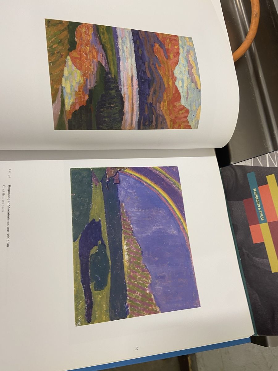Libri: Bruno&Giovanni Giacometti Bücher  – Usato da Dietikon venduto da brocki-eyra 8