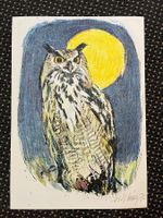 Lithografie / UHU von Fritz Hug 1970      (ID B5692)