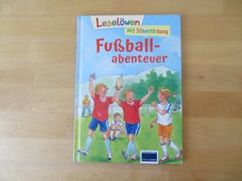 Leselöwen  "Fussballabenteuer"