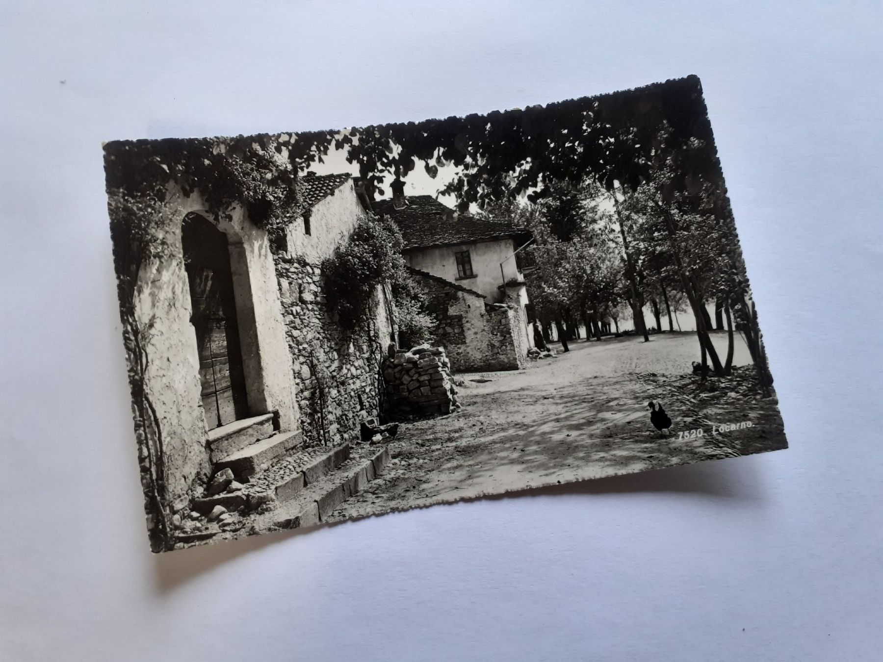 Cartoline postali: LOCARNO – Usato da Winterthur venduto da Ornyx7