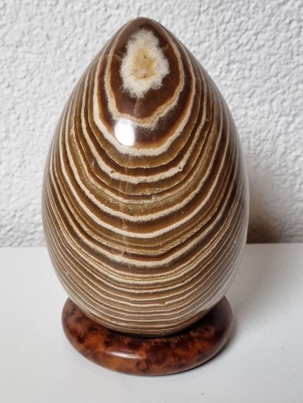 Minéraux & Lithothérapie: Grosses Aragonit Ei mit Holzring, 2550gr – Neuf (Voir description) à Eschenz par Bibas1