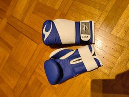 Kinder Boxhandschuhe 4oz