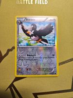 Plasma Freeze - Staravia