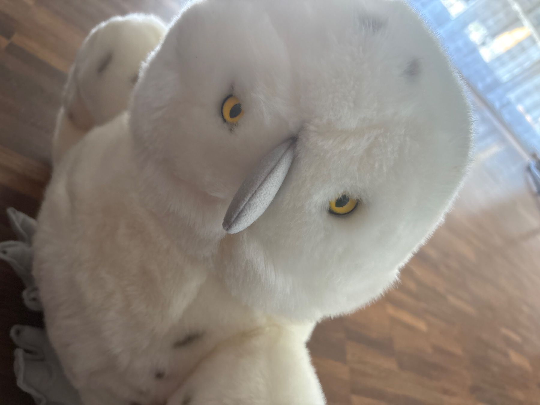 Giocattoli: Stofftier Schneeeule – Nuovo (secondo la descrizione) da Volketswil venduto da Jenni1996 1