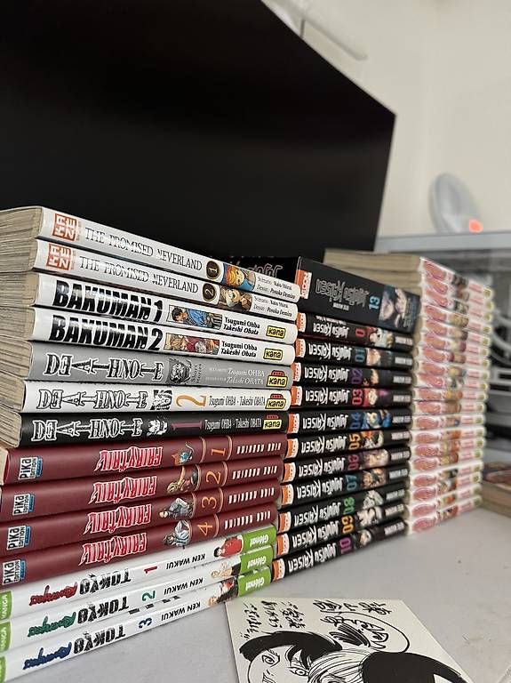Comics: Divers mangas! – Gebraucht aus Neuchâtel von Going_Merry 1