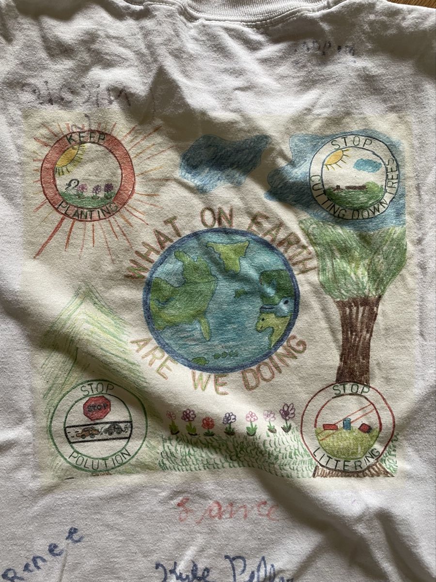 T-shirt: Normcore hypster Small Tee good condition – Usato da Basel venduto da aharon.no1 2