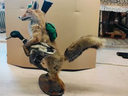 Fuchs auf Ente, Präparat mit Gewehr, Jagdmotiv