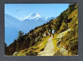 AK Casselweg am Riederhorn bei Riederalp
