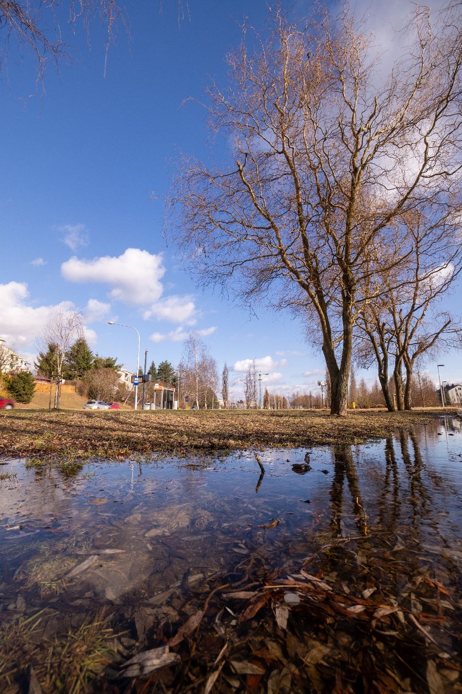 Sony Obiettivi: Sony E 10-18mm f4 OSS – Usato da Hägendorf venduto da art_s8lw 6